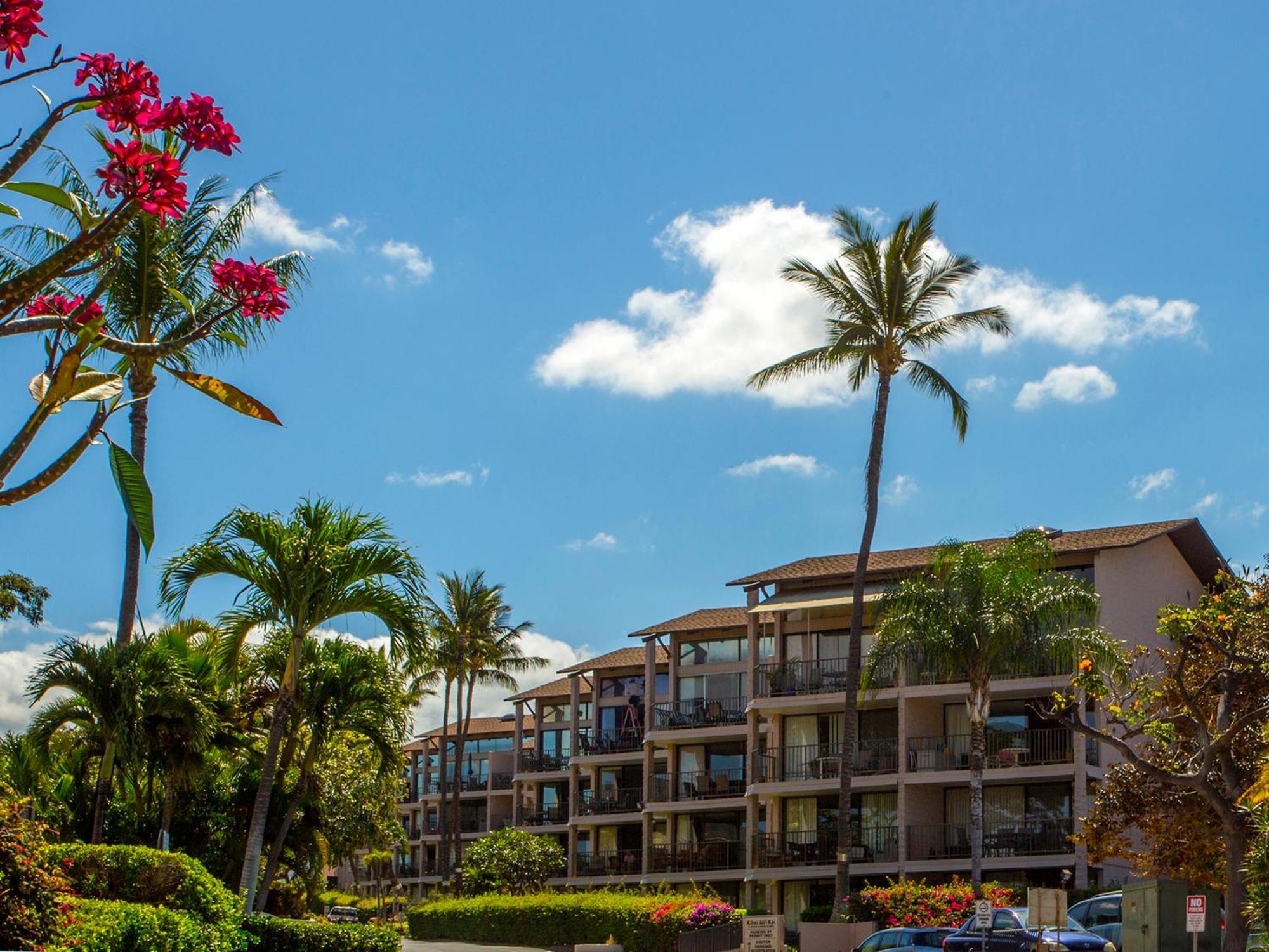 Ocean View Unit At Kihei Alii Kai Close To Beach Kültér fotó
